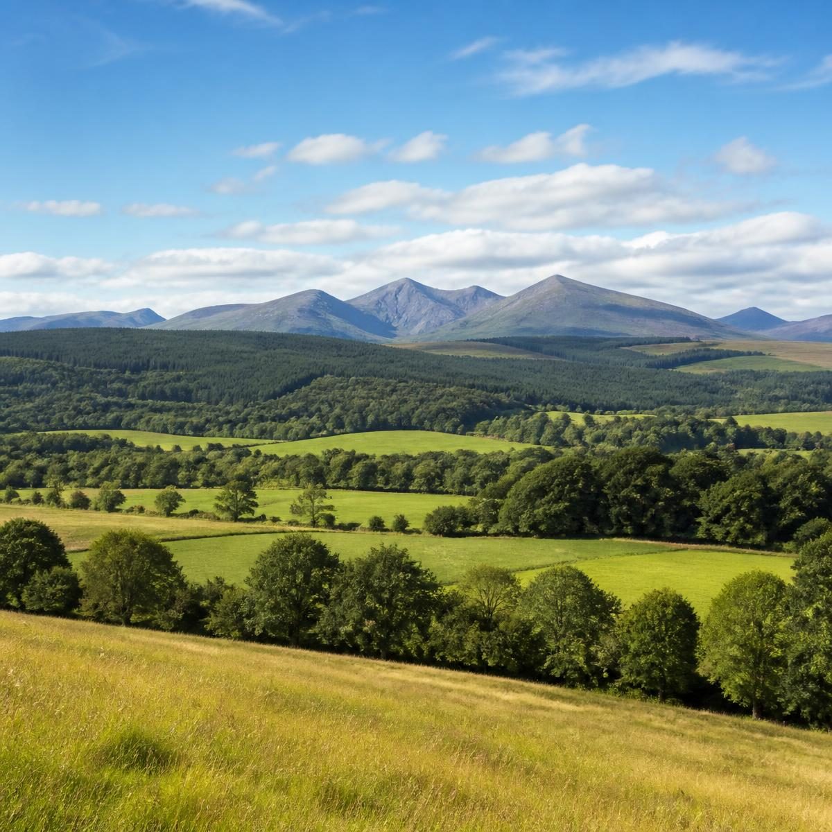 Photograph for the word „земља“ (country; earth, land)