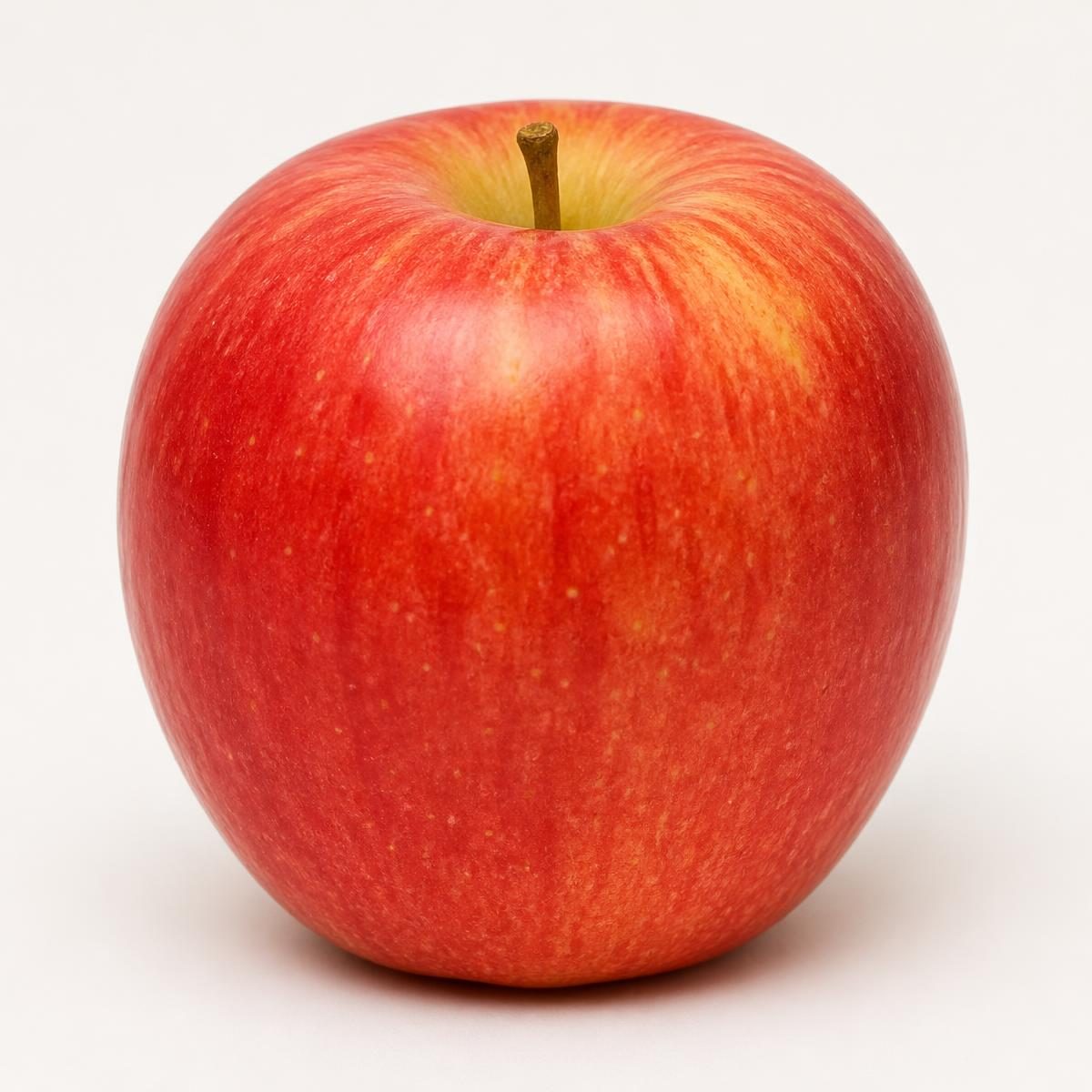Photograph for the word „јабука“ (apple)