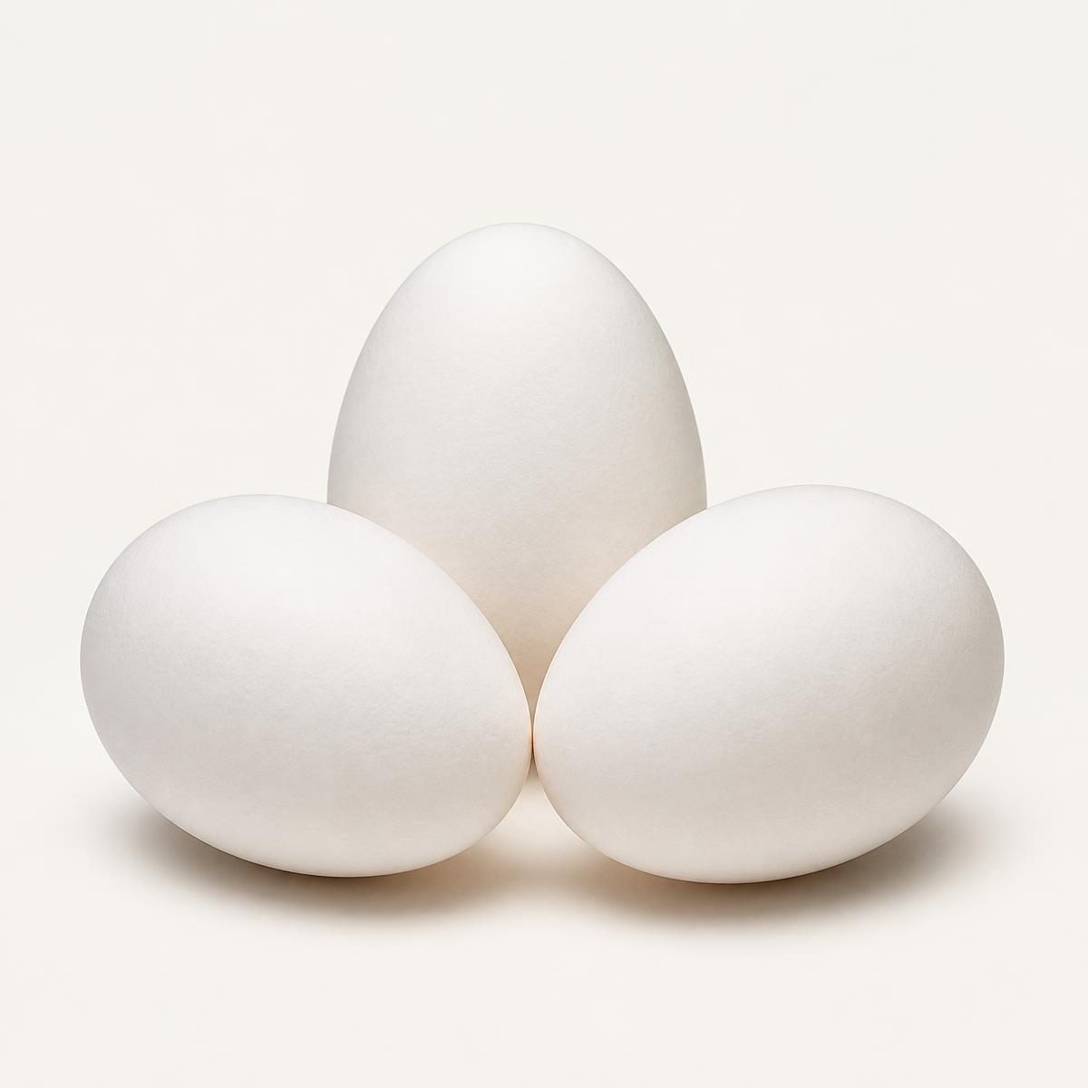 Photograph for the word „јаје“ (egg)