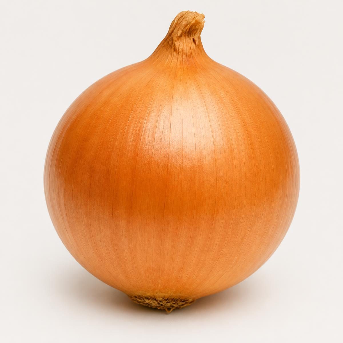 Photograph for the word „лук“ (onion)