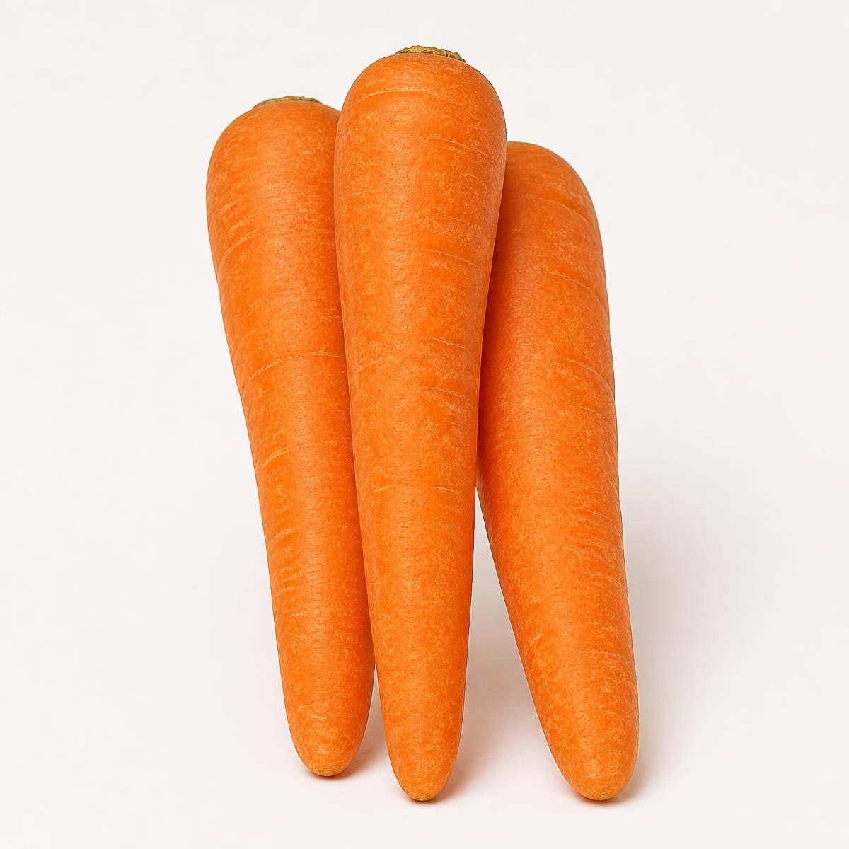 Photograph for the word „шаргарепа“ (carrot)