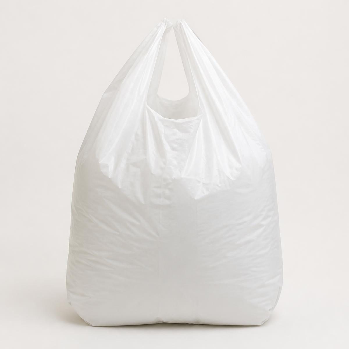 Photograph for the word „кеса“ (bag (plastic shopping bag))