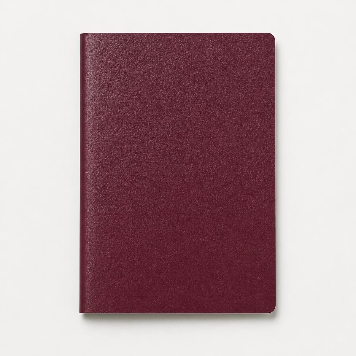 Photograph for the word „пасош“ (passport)