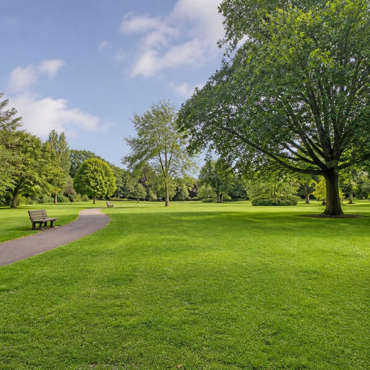 Photograph for the word „парк“ (park)