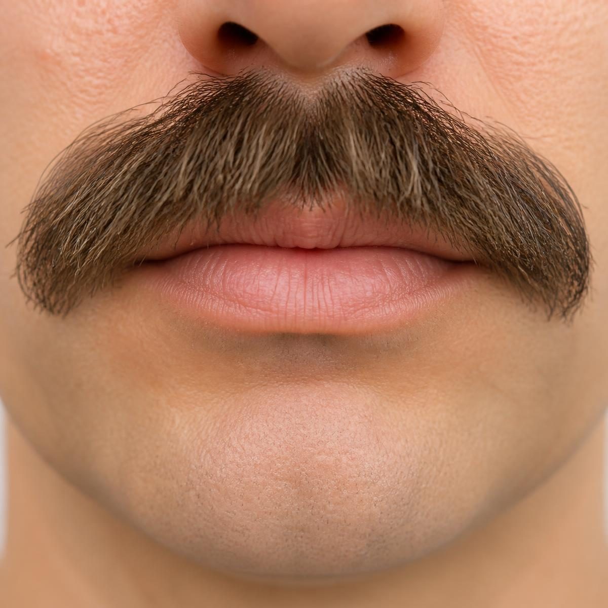 Photograph for the word „бркови“ (mustache)
