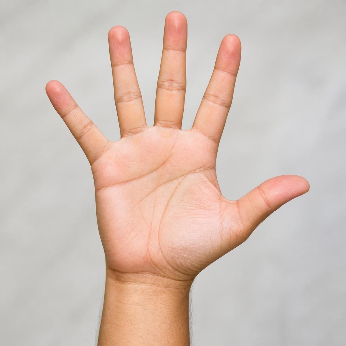 Photograph for the word „рука“ (hand, arm)