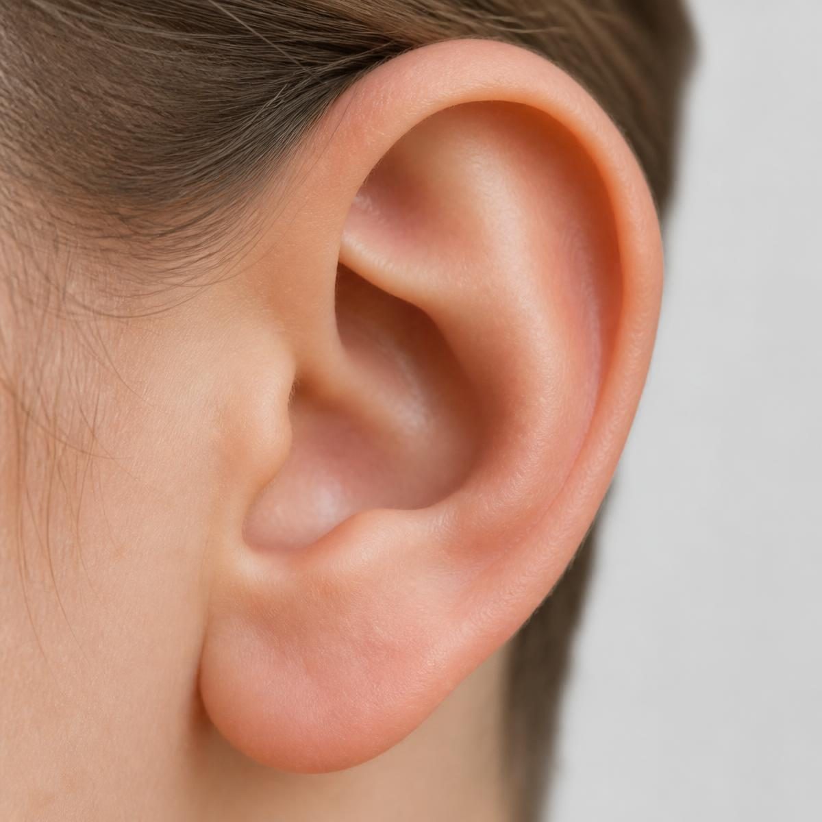 Photograph for the word „уво“ (ear)