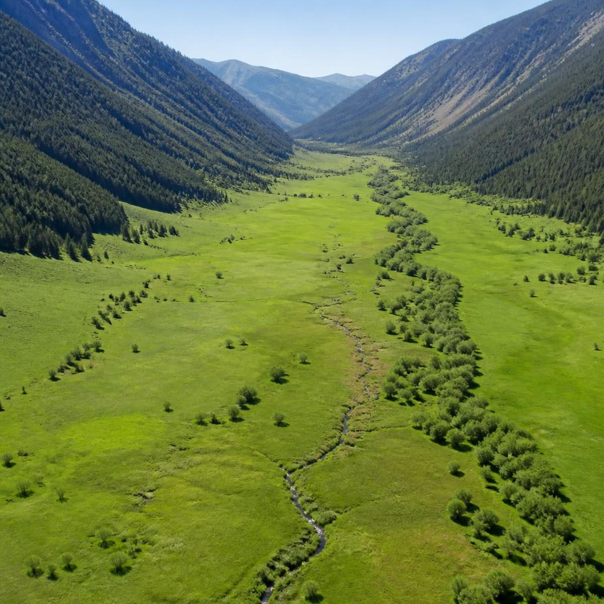 Photograph for the word „долина“ (valley)