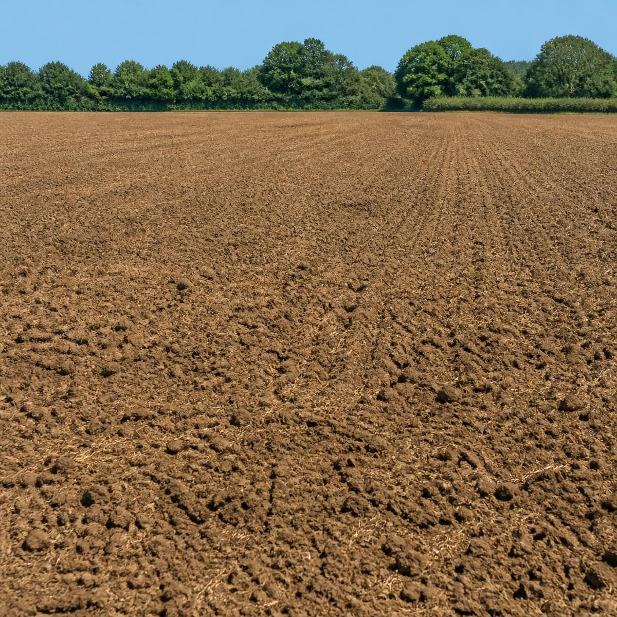Photograph for the word „поље“ (field, meadow)