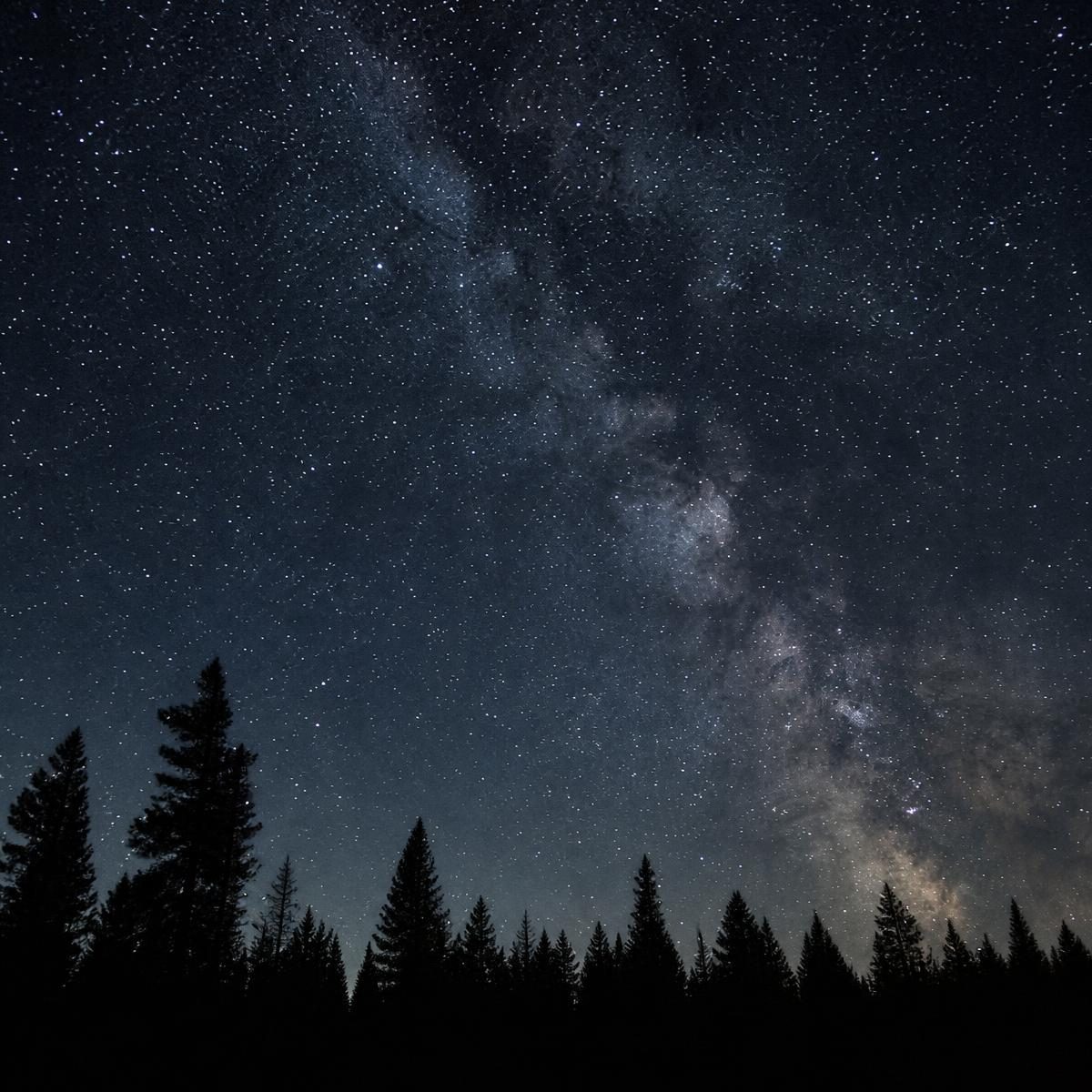 Photograph for the word „звезда“ (star)