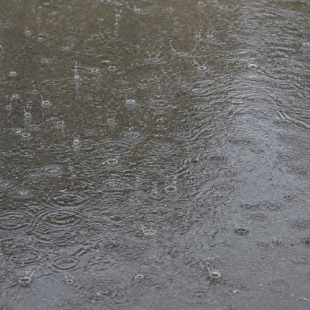Photograph for the word „киша“ (rain)