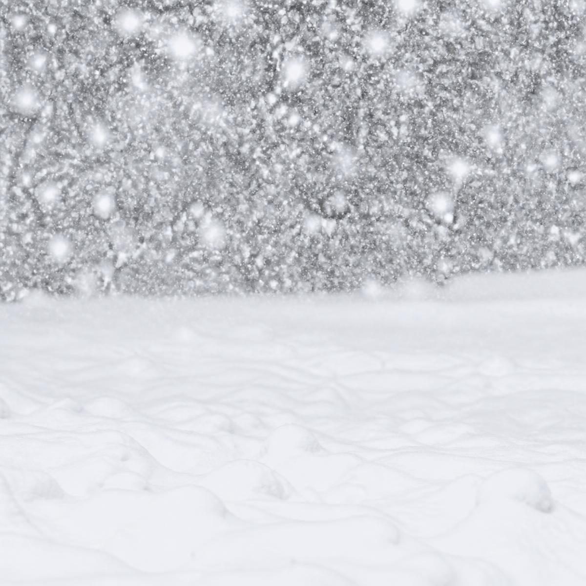 Photograph for the word „снег“ (snow)