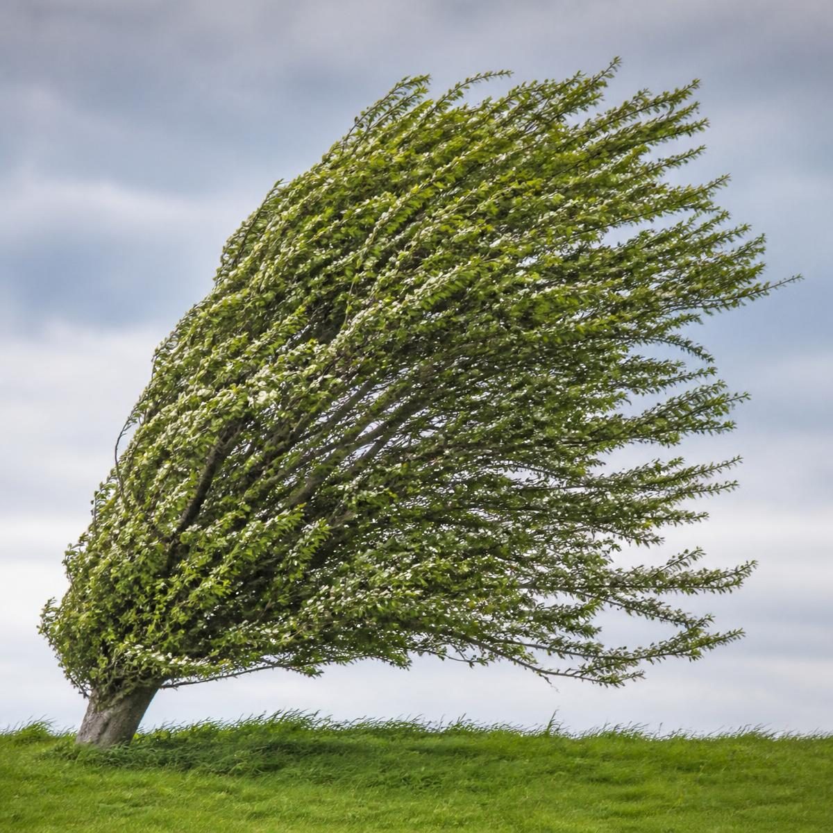 Photograph for the word „ветар“ (wind)
