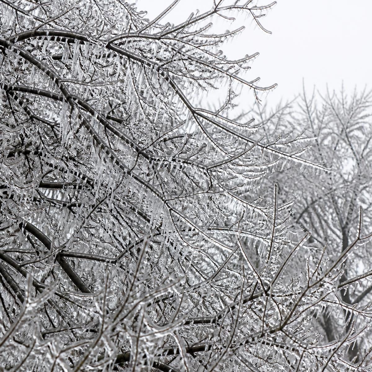 Photograph for the word „зима“ (winter)