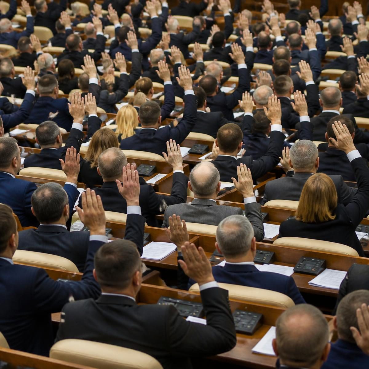 Photograph for the word „усвојити“ (to adopt, to pass (e.g. a law))