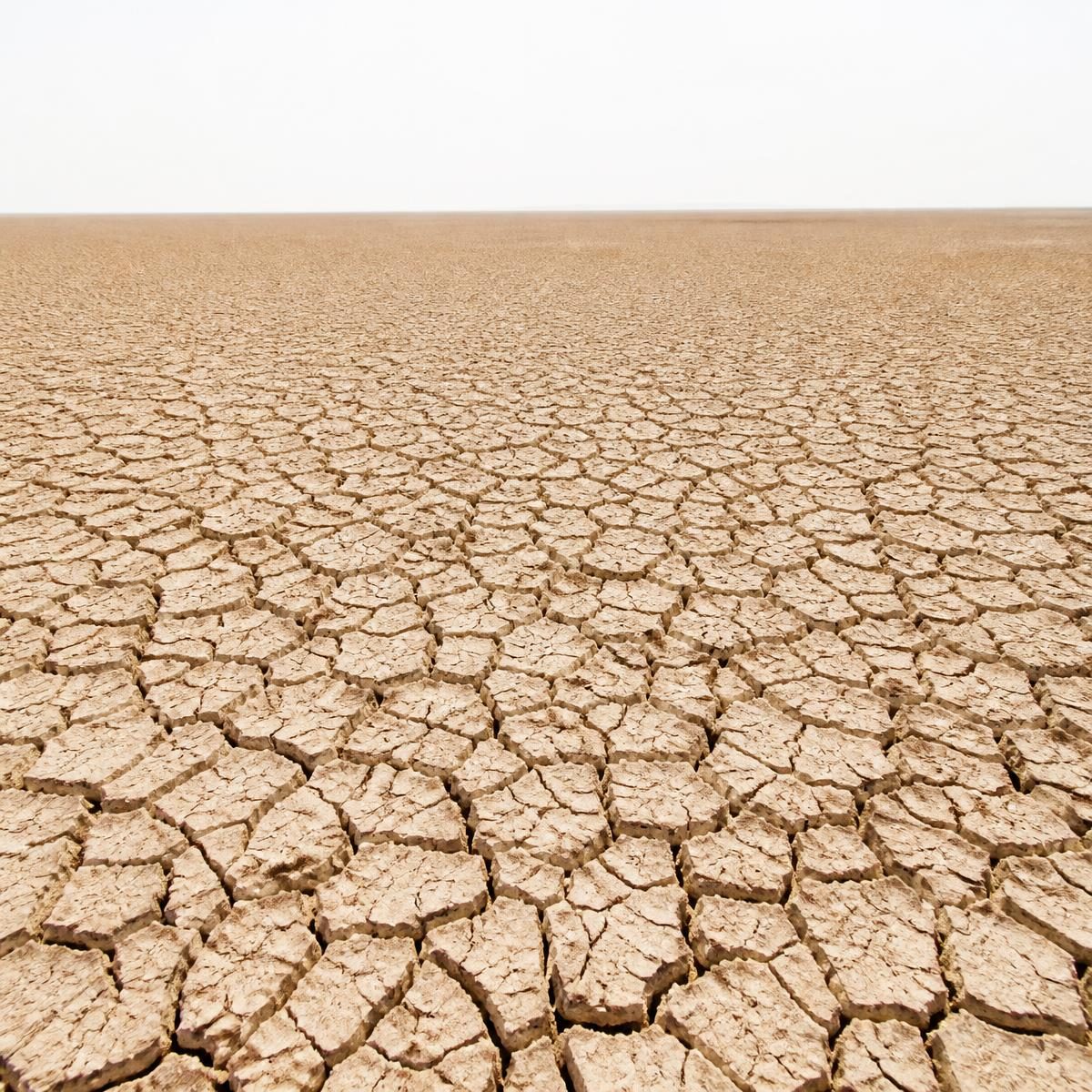 Photograph for the word „суша“ (drought)