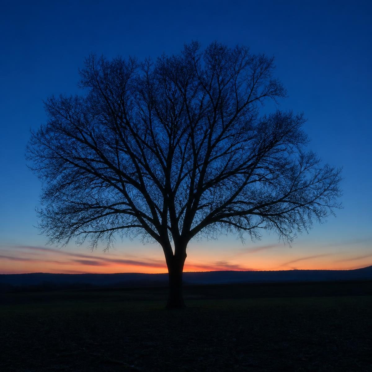 Photograph for the word „сумрак“ (dusk, twilight)